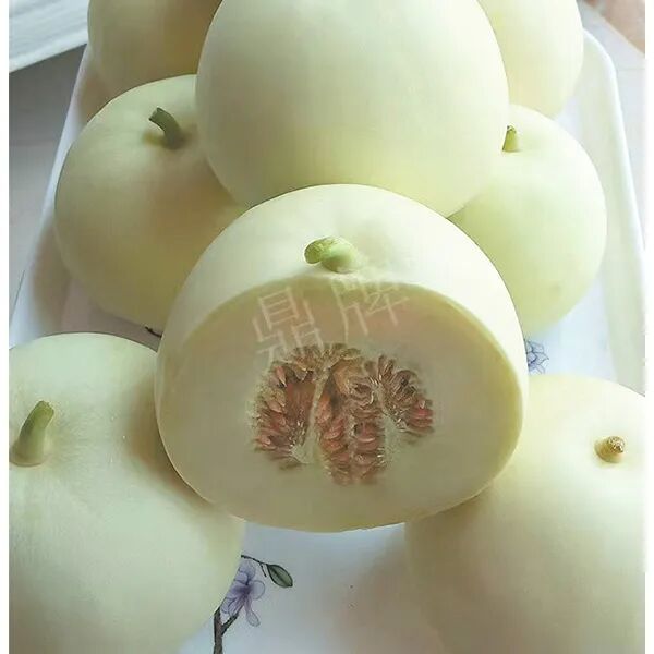 蔬菜種子種植戶種植心得-這個品種幫我留一些，4月份我們當地還要種一批